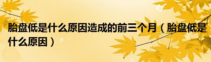 胎盤低是什么原因造成的前三個(gè)月（胎盤低是什么原因）