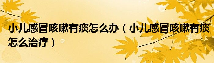 小兒感冒咳嗽有痰怎么辦(小兒感冒咳嗽有痰怎么治療)