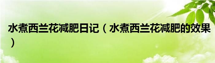 水煮西蘭花減肥日記（水煮西蘭花減肥的效果）