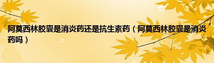 阿莫西林膠囊是消炎藥還是抗生素藥(阿莫西林膠囊是消炎藥嗎)
