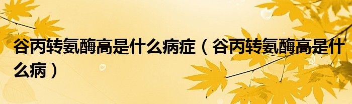 谷丙轉(zhuǎn)氨酶高是什么病癥（谷丙轉(zhuǎn)氨酶高是什么?。?class='thumb lazy' /></a>
		    <header>
		<h2><a  href=