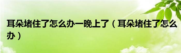 耳朵堵住了怎么辦一晚上了（耳朵堵住了怎么辦）