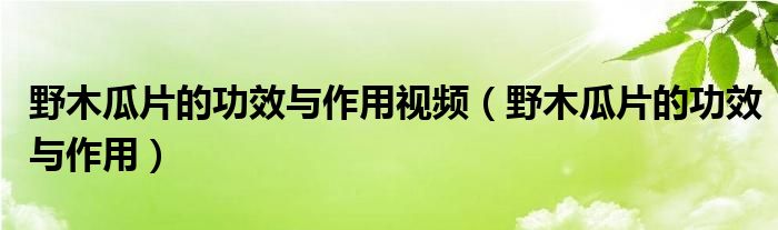 野木瓜片的功效與作用視頻（野木瓜片的功效與作用）