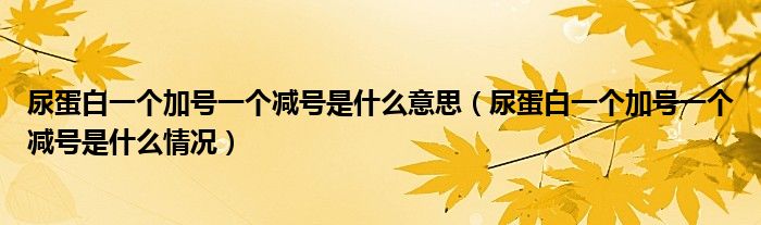 尿蛋白一個加號一個減號是什么意思（尿蛋白一個加號一個減號是什么情況）