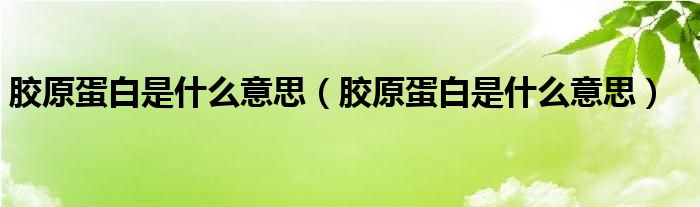 膠原蛋白是什么意思（膠原蛋白是什么意思）
