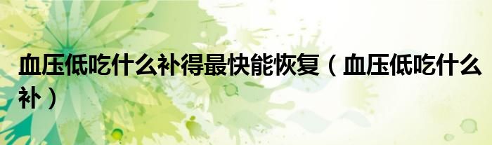 血壓低吃什么補得最快能恢復（血壓低吃什么補）