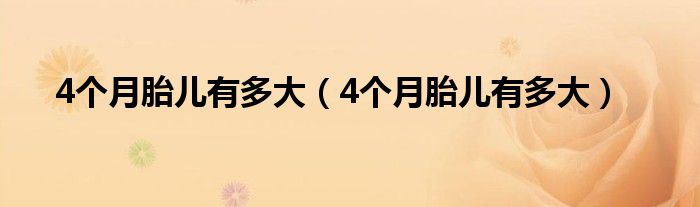 4個月胎兒有多大（4個月胎兒有多大）
