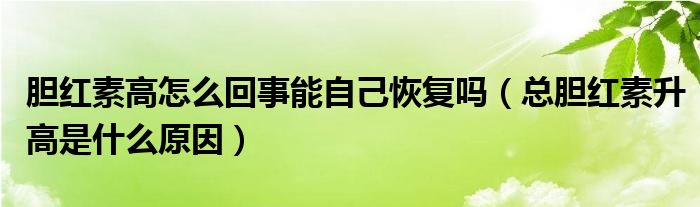 膽紅素高怎么回事能自己恢復(fù)嗎（總膽紅素升高是什么原因）