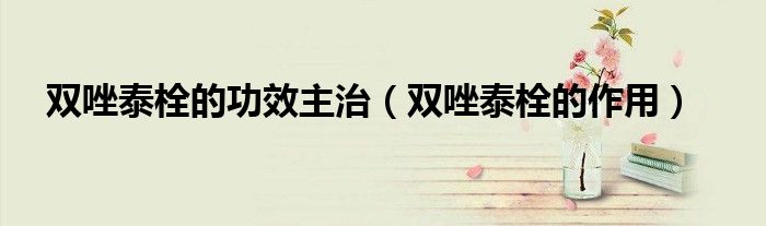 雙唑泰栓的功效主治(雙唑泰栓的作用)