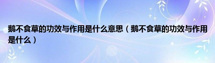 鵝不食草的功效與作用是什么意思(鵝不食草的功效與作用是什么)