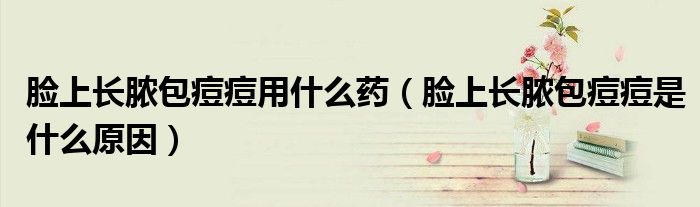 臉上長膿包痘痘用什么藥（臉上長膿包痘痘是什么原因）