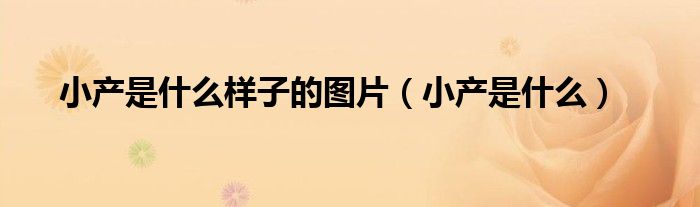小產(chǎn)是什么樣子的圖片（小產(chǎn)是什么）