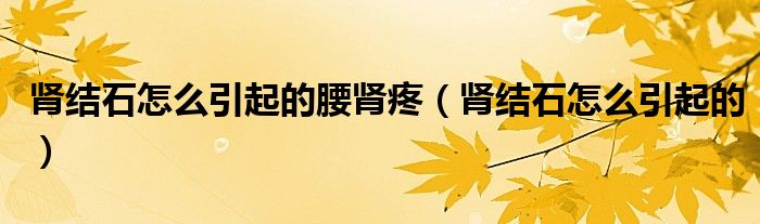 腎結(jié)石怎么引起的腰腎疼（腎結(jié)石怎么引起的）