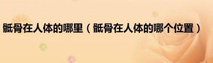 骶骨在人體的哪里(骶骨在人體的哪個(gè)位置)