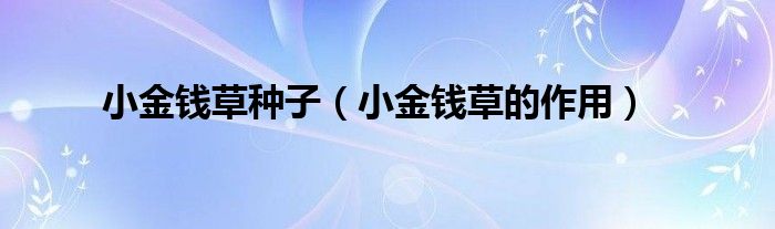 小金錢(qián)草種子（小金錢(qián)草的作用）