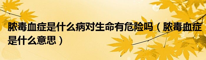 膿毒血癥是什么病對(duì)生命有危險(xiǎn)嗎（膿毒血癥是什么意思）