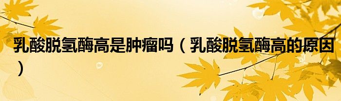 乳酸脫氫酶高是腫瘤嗎(乳酸脫氫酶高的原因)