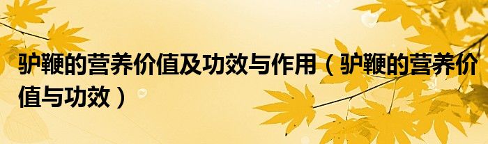 驢鞭的營養(yǎng)價值及功效與作用（驢鞭的營養(yǎng)價值與功效）