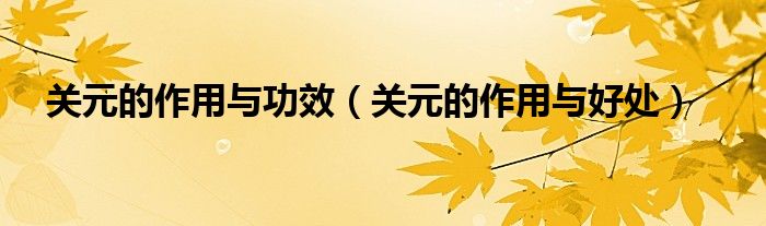 關(guān)元的作用與功效（關(guān)元的作用與好處）