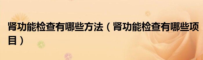 腎功能檢查有哪些方法（腎功能檢查有哪些項目）