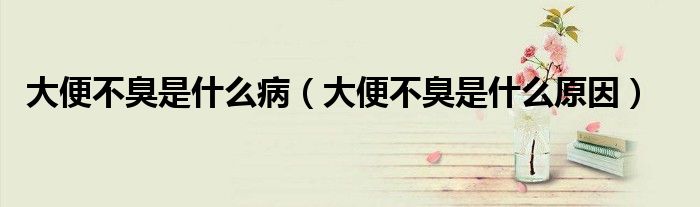 大便不臭是什么?。ù蟊悴怀羰鞘裁丛颍?class='thumb lazy' /></a>
		    <header>
		<h2><a  href=