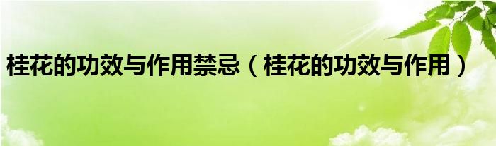桂花的功效與作用禁忌（桂花的功效與作用）