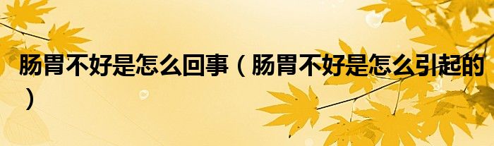腸胃不好是怎么回事（腸胃不好是怎么引起的）