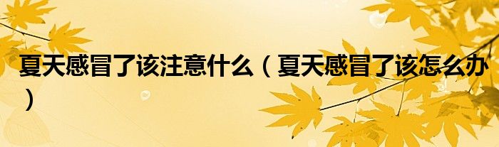 夏天感冒了該注意什么（夏天感冒了該怎么辦）