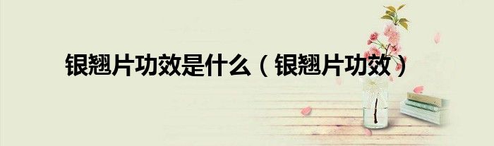 銀翹片功效是什么（銀翹片功效）