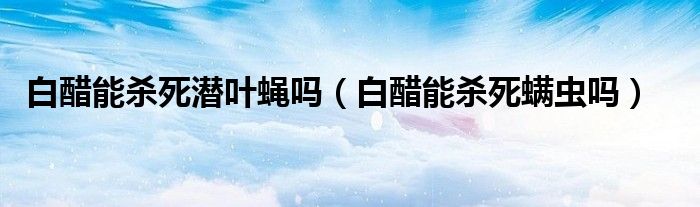 白醋能殺死潛葉蠅嗎（白醋能殺死螨蟲嗎）