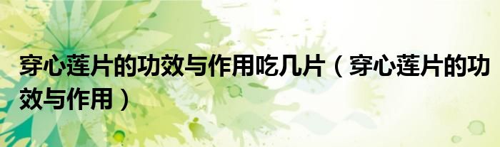 穿心蓮片的功效與作用吃幾片（穿心蓮片的功效與作用）