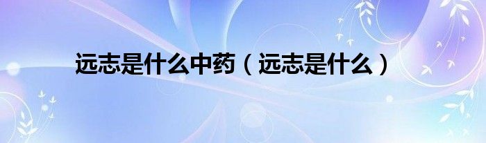 遠(yuǎn)志是什么中藥（遠(yuǎn)志是什么）