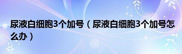 尿液白細(xì)胞3個加號（尿液白細(xì)胞3個加號怎么辦）