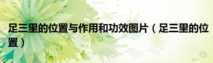 足三里的位置與作用和功效圖片（足三里的位置）