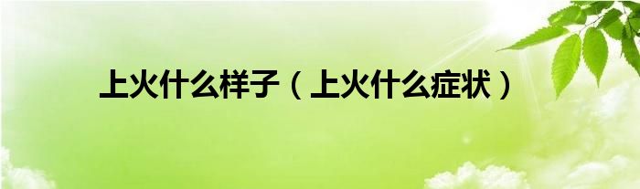 上火什么樣子（上火什么癥狀）