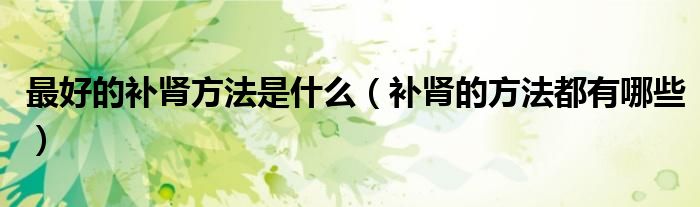 最好的補(bǔ)腎方法是什么（補(bǔ)腎的方法都有哪些）