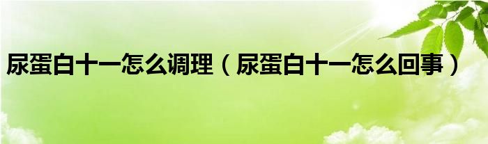 尿蛋白十一怎么調理（尿蛋白十一怎么回事）