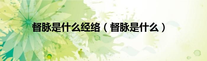 督脈是什么經(jīng)絡(luò)（督脈是什么）