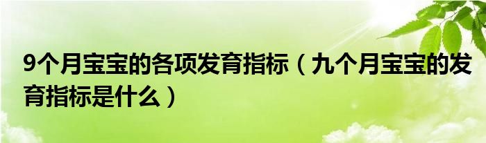 9個(gè)月寶寶的各項(xiàng)發(fā)育指標(biāo)（九個(gè)月寶寶的發(fā)育指標(biāo)是什么）