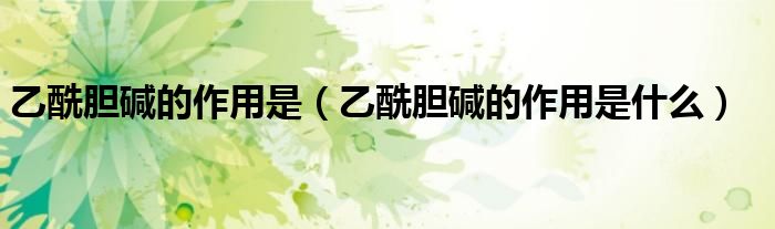 乙酰膽堿的作用是（乙酰膽堿的作用是什么）