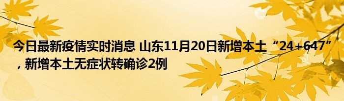 今日最新疫情實時消息 山東11月20日新增本土“24+647”，新增本土無癥狀轉(zhuǎn)確診2例