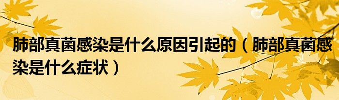 肺部真菌感染是什么原因引起的（肺部真菌感染是什么癥狀）