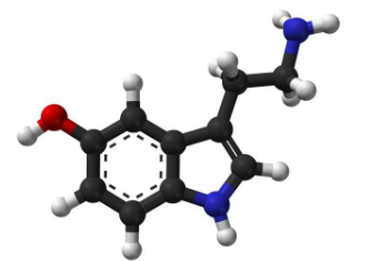對抑郁癥血清素缺乏概念的新支持