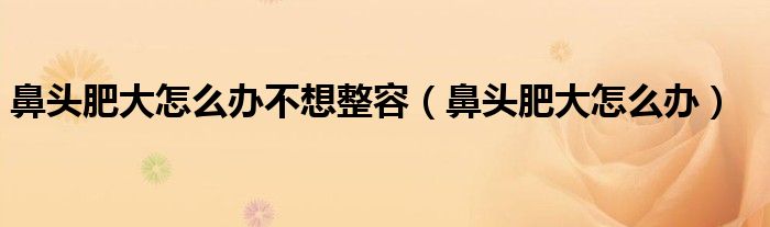 鼻頭肥大怎么辦不想整容（鼻頭肥大怎么辦）