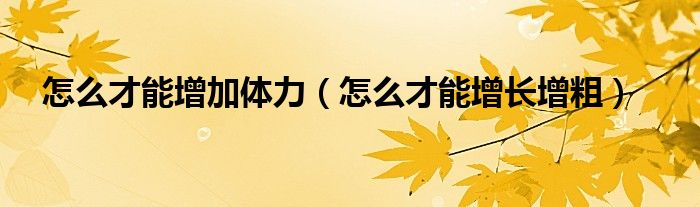 怎么才能增加體力（怎么才能增長(zhǎng)增粗）