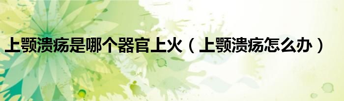 上顎潰瘍是哪個(gè)器官上火（上顎潰瘍?cè)趺崔k）