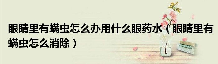 眼睛里有螨蟲怎么辦用什么眼藥水（眼睛里有螨蟲怎么消除）