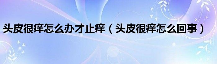 頭皮很癢怎么辦才止癢（頭皮很癢怎么回事）