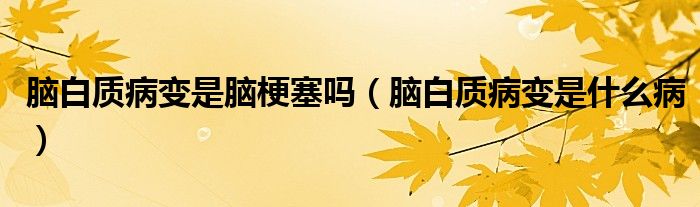 腦白質病變是腦梗塞嗎（腦白質病變是什么?。?class='thumb lazy' /></a>
		    <header>
		<h2><a  href=