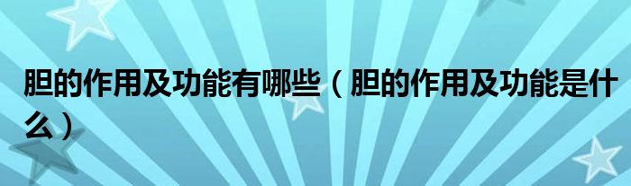 膽的作用及功能有哪些（膽的作用及功能是什么）